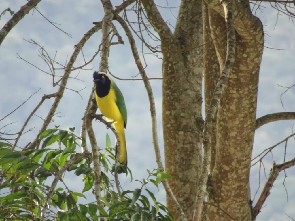 Instagram post from salento.hikers. This post is in position 1.
