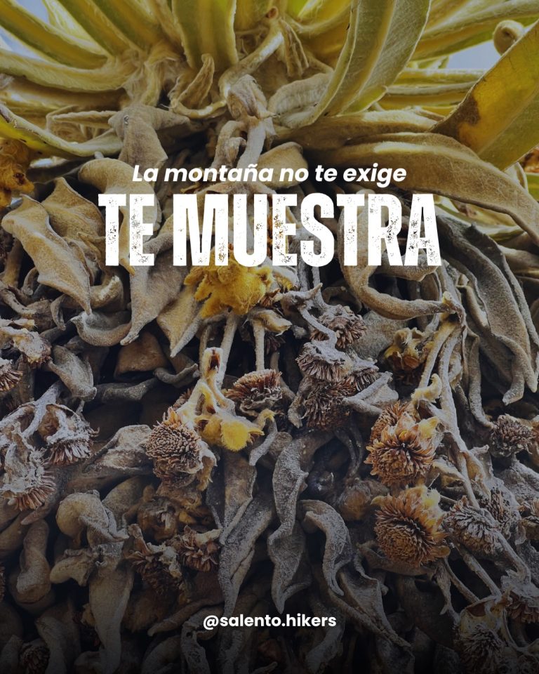 Instagram post from salento.hikers. This post is in position 1.