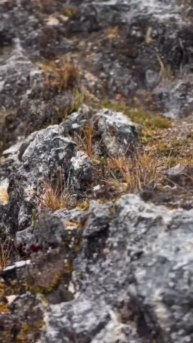 Instagram post from salento.hikers. This post is in position 3.