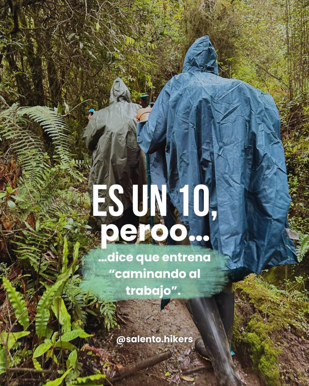 Instagram post from salento.hikers. This post is in position 2.