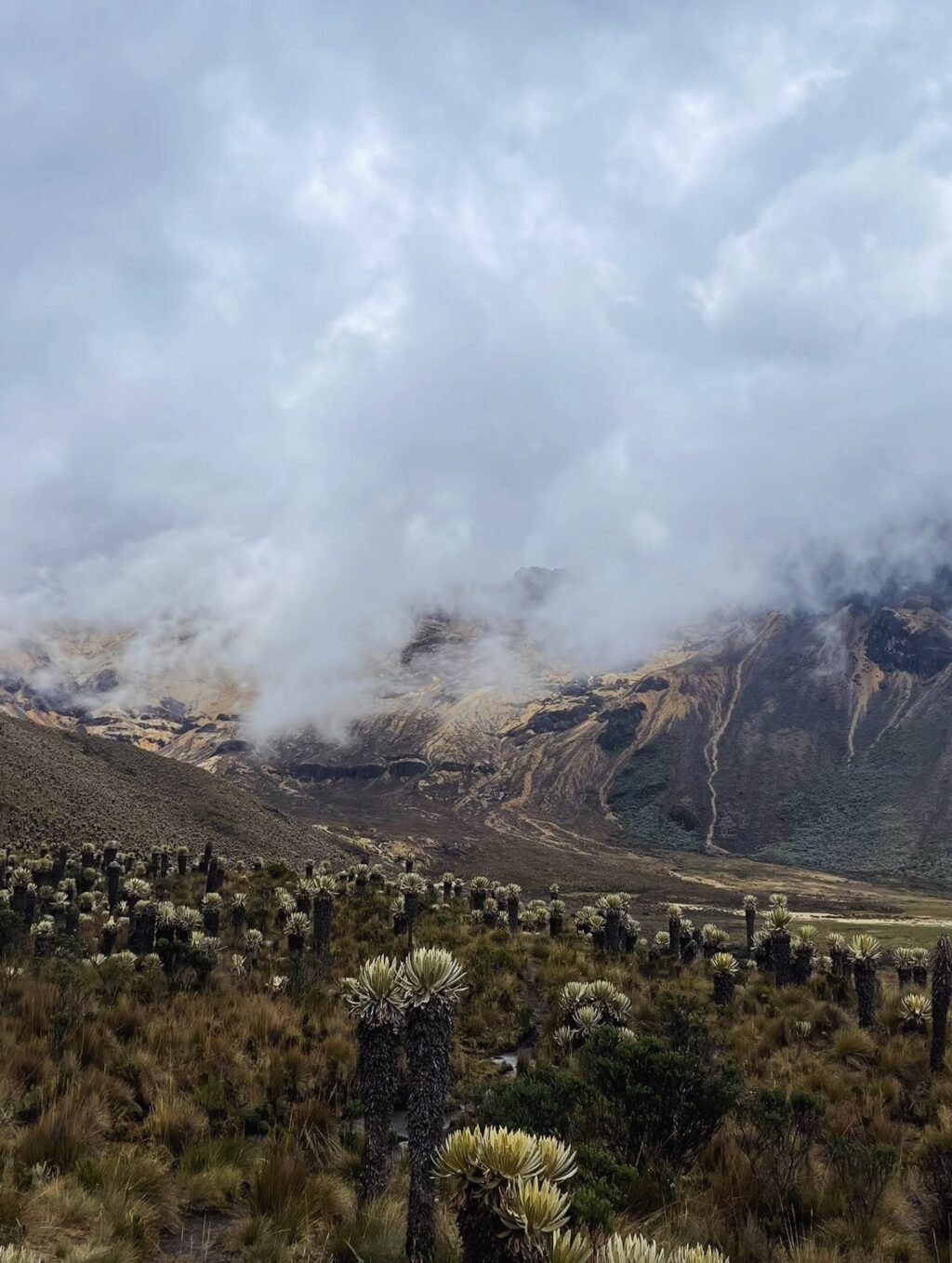 Instagram post from salento.hikers. This post is in position 3.