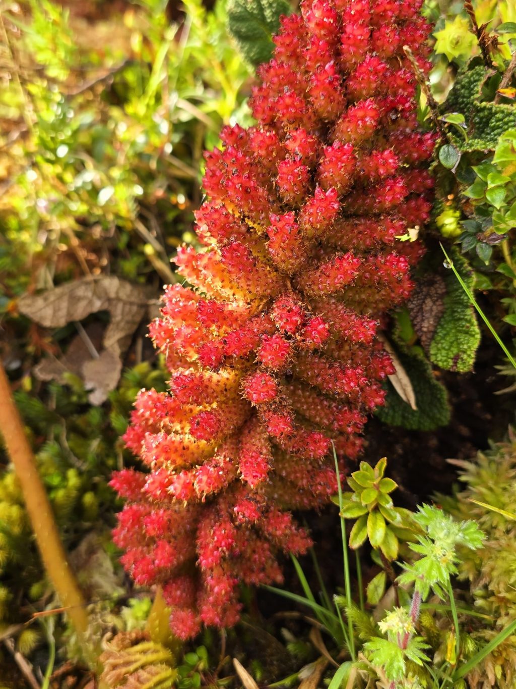 Instagram post from salento.hikers. This post is in position 3.