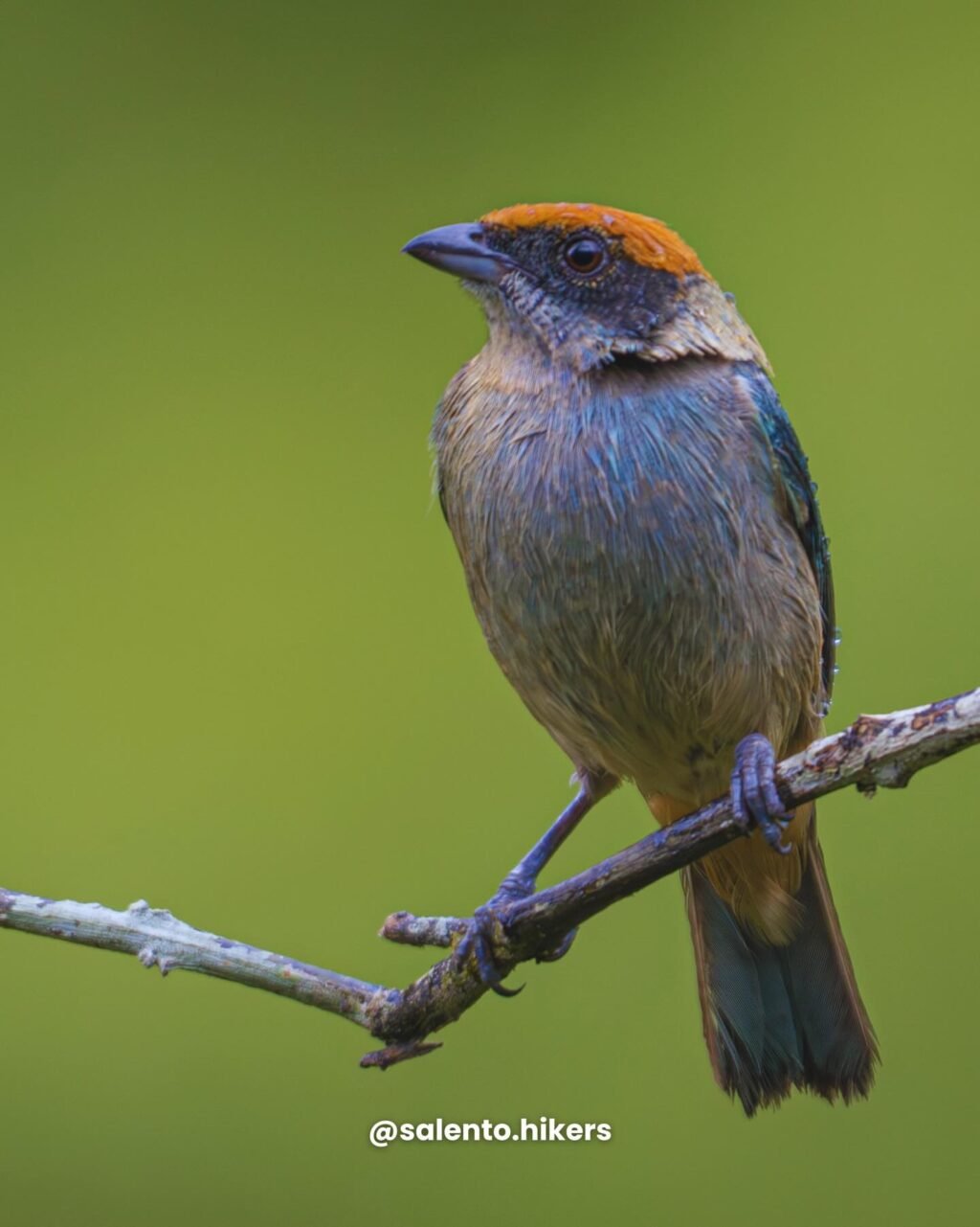 Instagram post from salento.hikers. This post is in position 3.