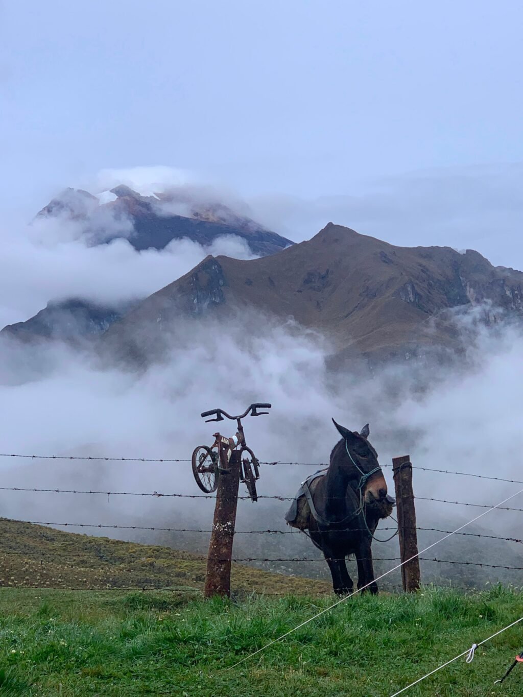 Instagram post from salento.hikers. This post is in position 5.