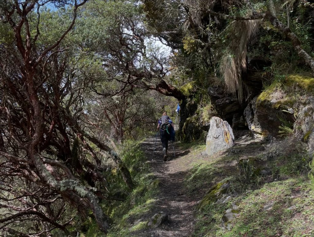 Instagram post from salento.hikers. This post is in position 7.