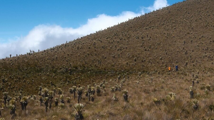Instagram post from salento.hikers. This post is in position 10.