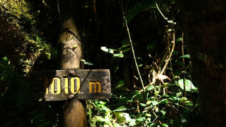 Instagram post from salento.hikers. This post is in position 1.