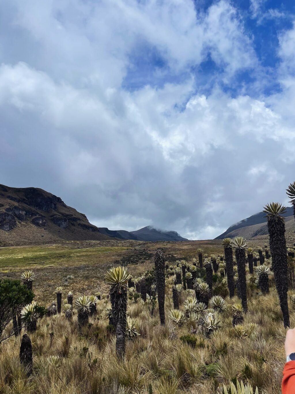 Instagram post from salento.hikers. This post is in position 7.