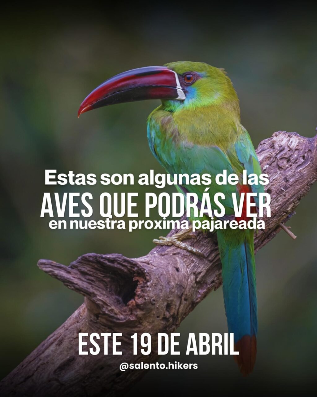 Instagram post from salento.hikers. This post is in position 0.