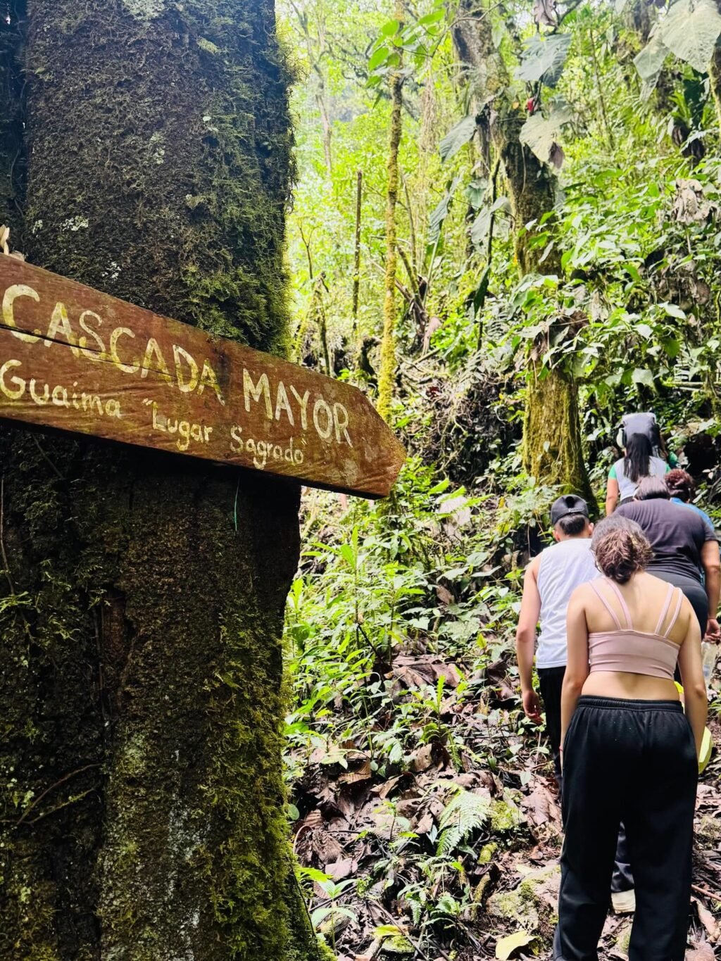 Instagram post from salento.hikers. This post is in position 3.