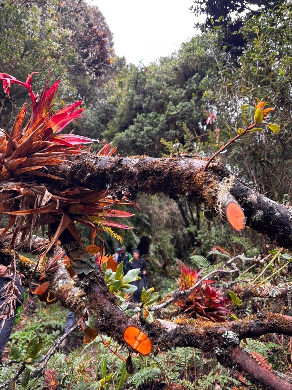 Instagram post from salento.hikers. This post is in position 18.