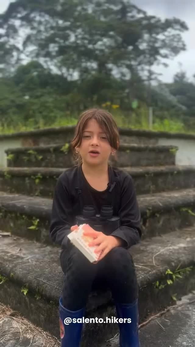 Instagram post from salento.hikers. This post is in position 1.