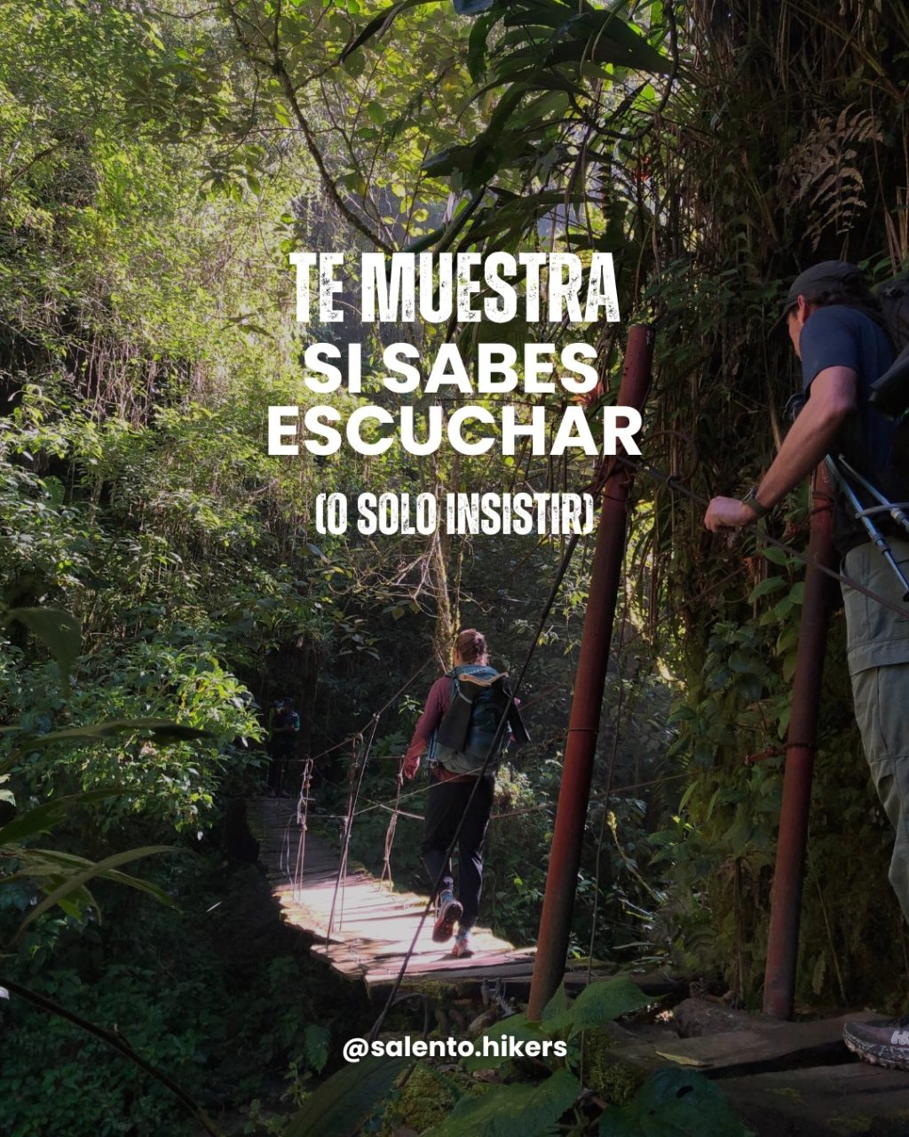 Instagram post from salento.hikers. This post is in position 5.