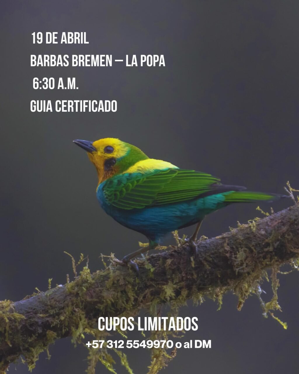 Instagram post from salento.hikers. This post is in position 5.