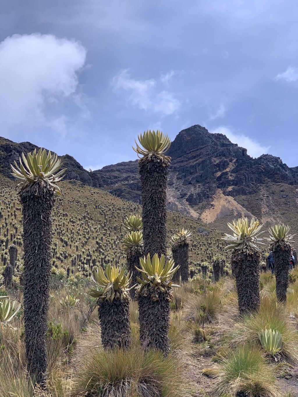 Instagram post from salento.hikers. This post is in position 1.