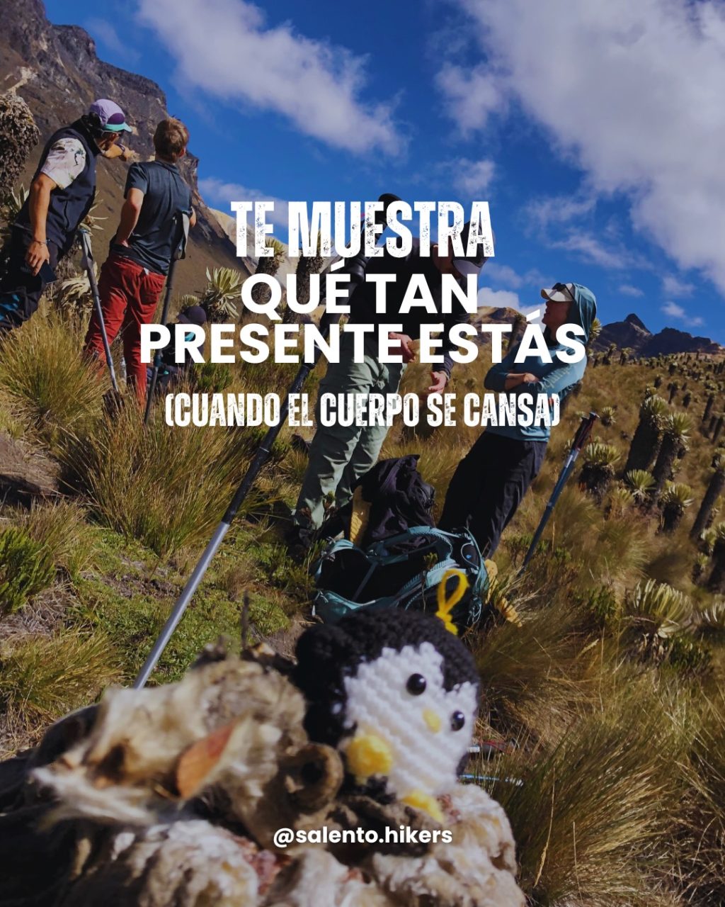 Instagram post from salento.hikers. This post is in position 4.