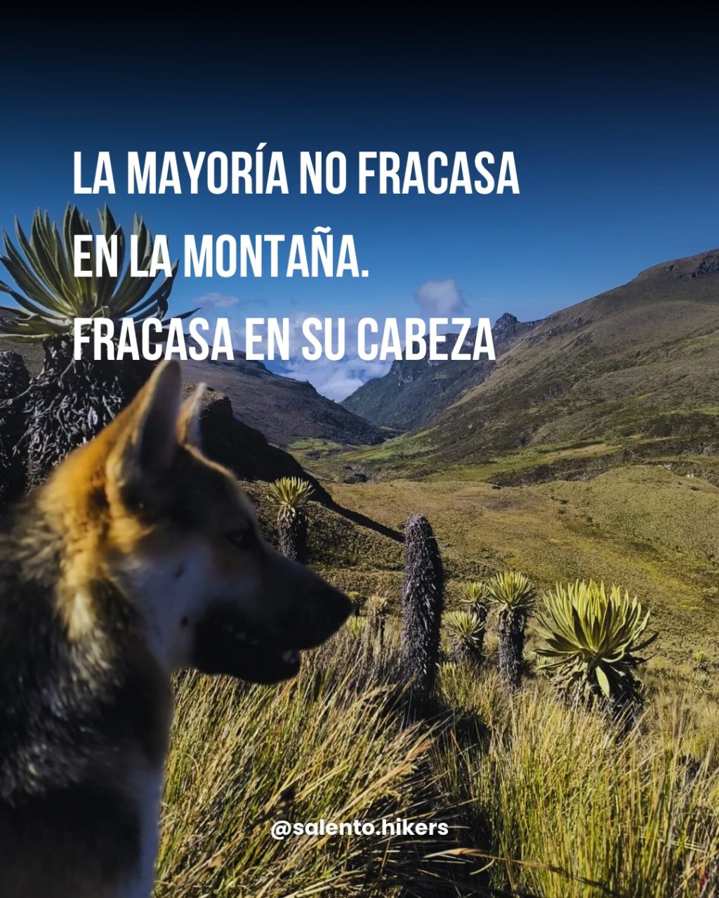 Instagram post from salento.hikers. This post is in position 1.