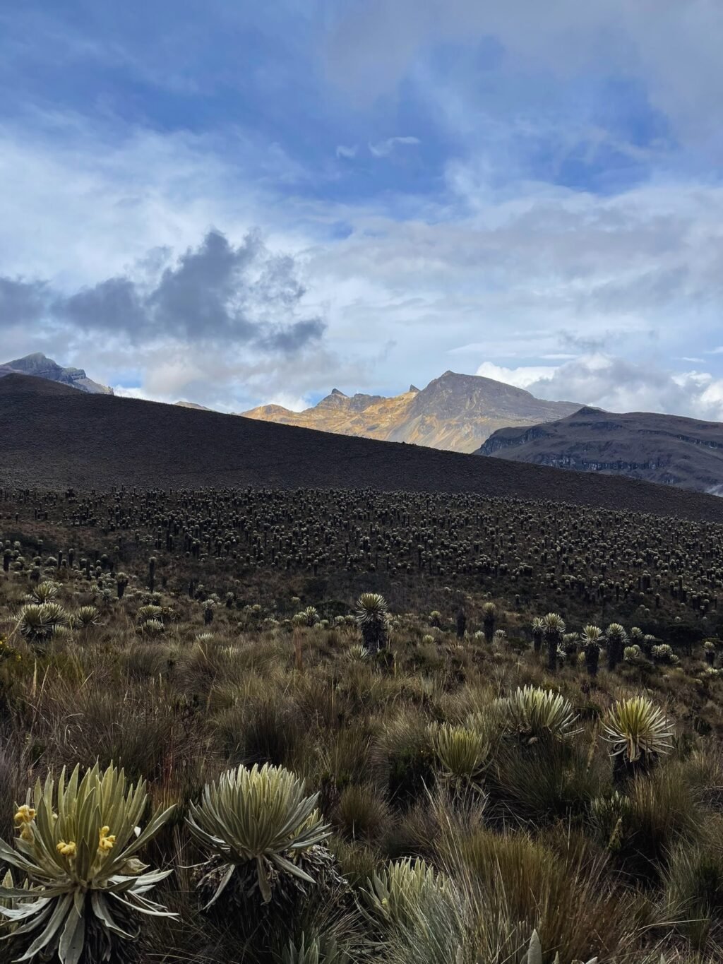 Instagram post from salento.hikers. This post is in position 0.