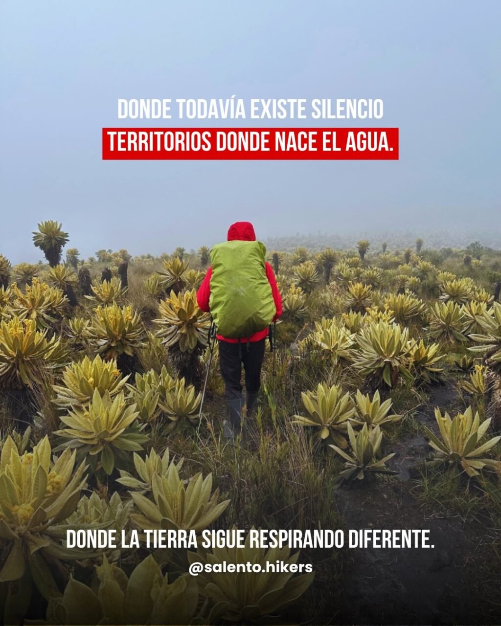 Instagram post from salento.hikers. This post is in position 1.