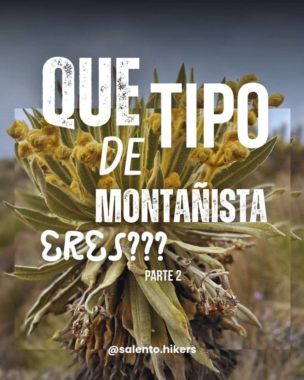 Instagram post from salento.hikers. This post is in position 0.