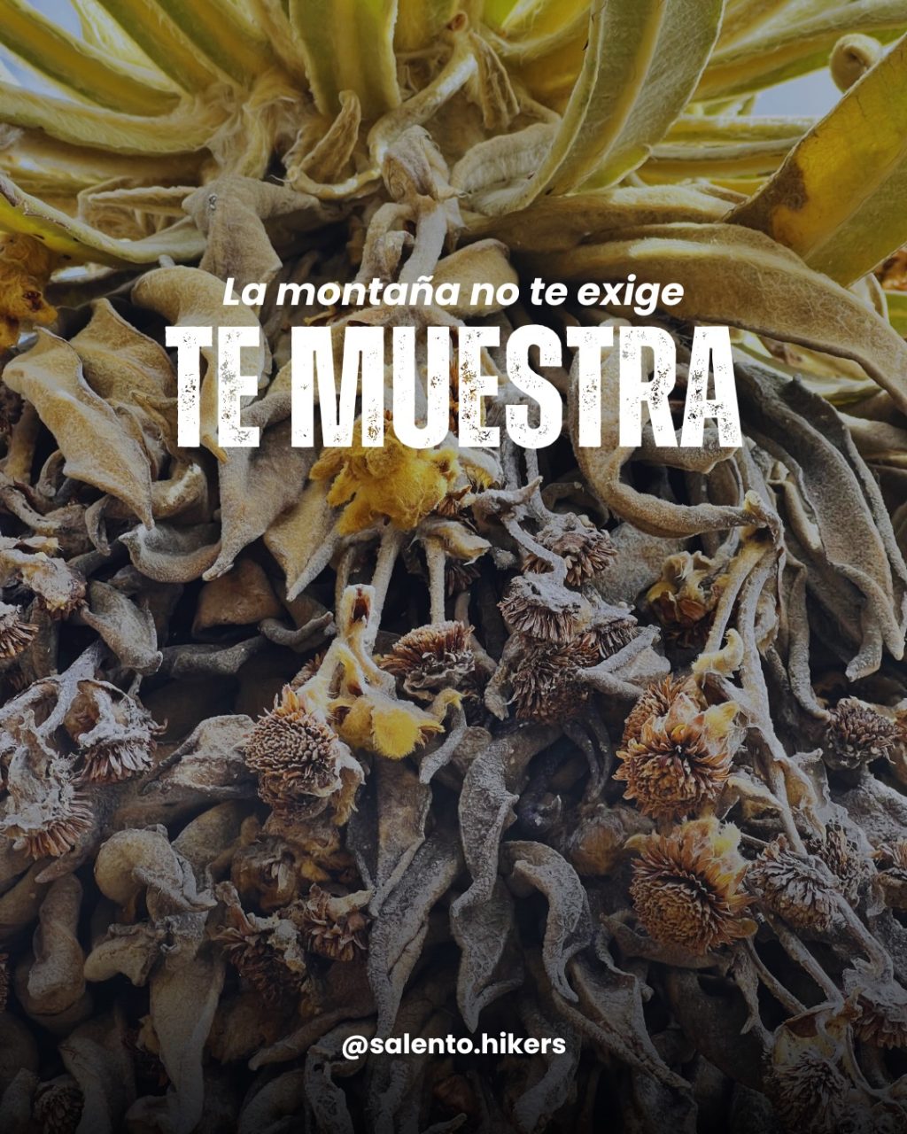 Instagram post from salento.hikers. This post is in position 0.