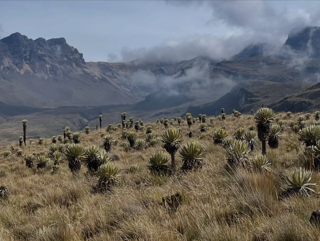 Instagram post from salento.hikers. This post is in position 10.