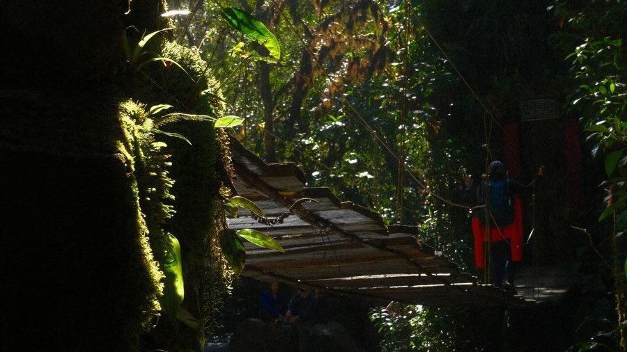 Instagram post from salento.hikers. This post is in position 1.