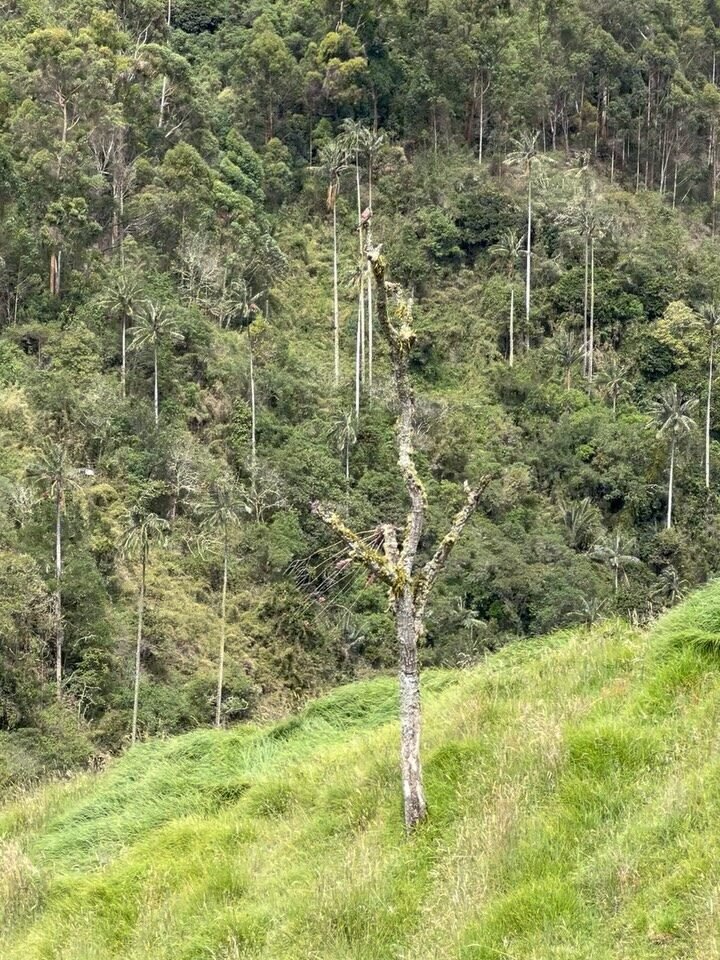 Instagram post from salento.hikers. This post is in position 10.
